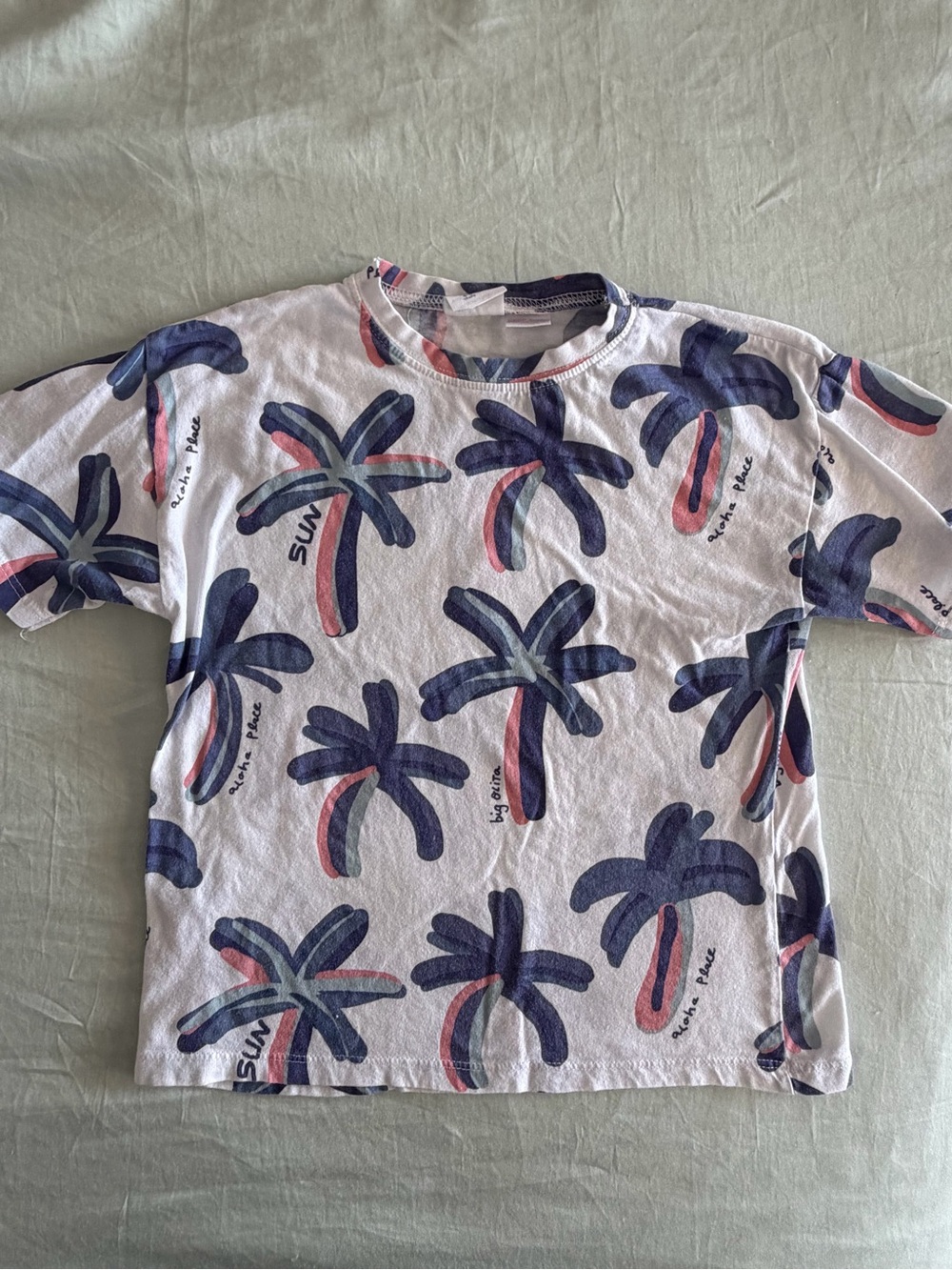 Zara toddler shirt